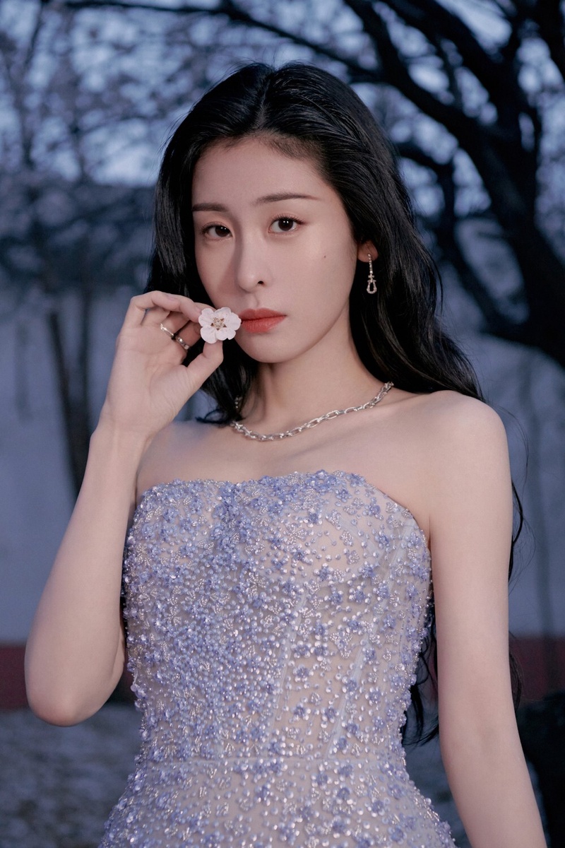 张碧晨